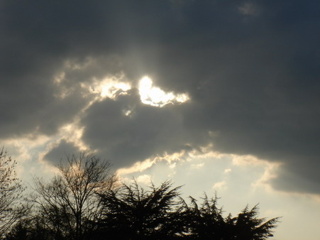 a0247585_7405865.jpg