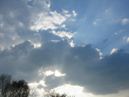 a0247585_74094.jpg