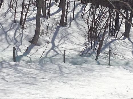 c0123890_20211332.jpg
