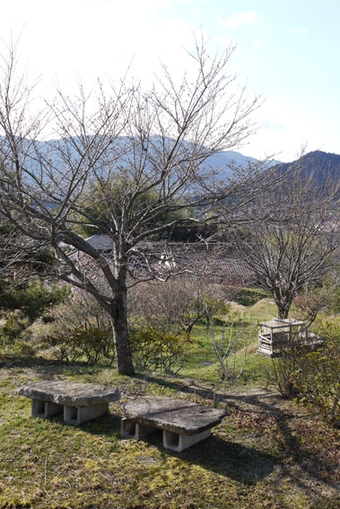 f0222692_926221.jpg