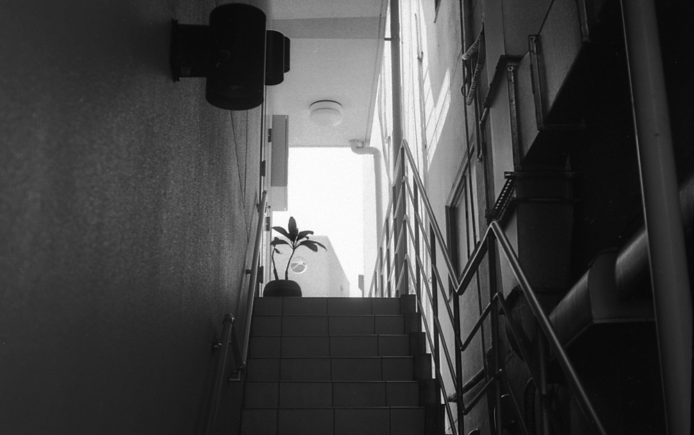 f0161595_19493990.jpg