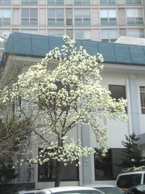 b0044296_2339148.jpg