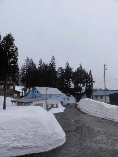 a0061599_7923.jpg