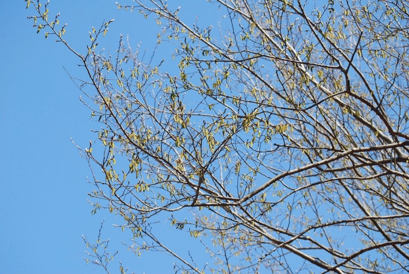 e0025300_19533669.jpg