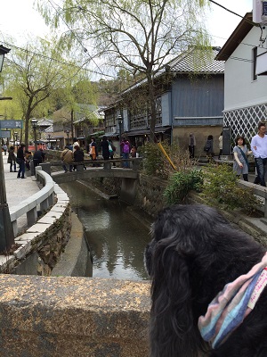 a0134004_0352981.jpg