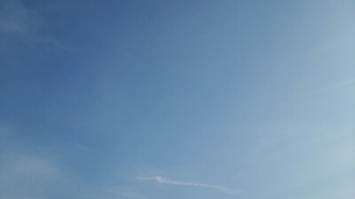 d0116205_19463777.jpg