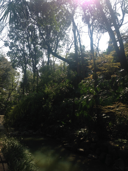 c0114110_17265480.jpg