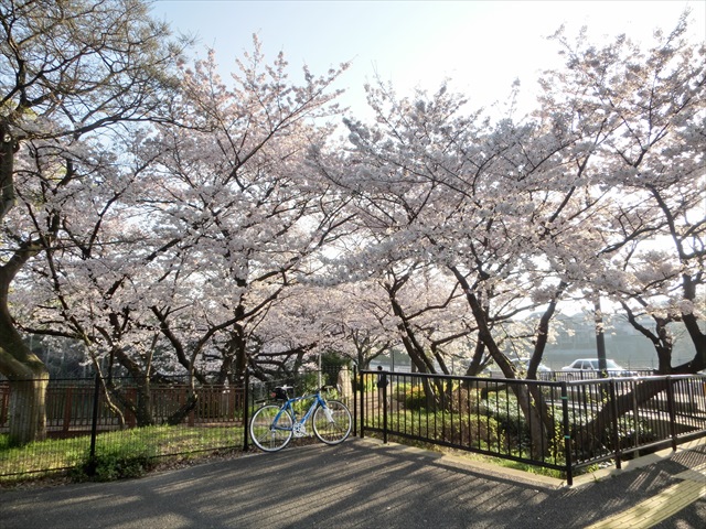 c0238519_2331736.jpg