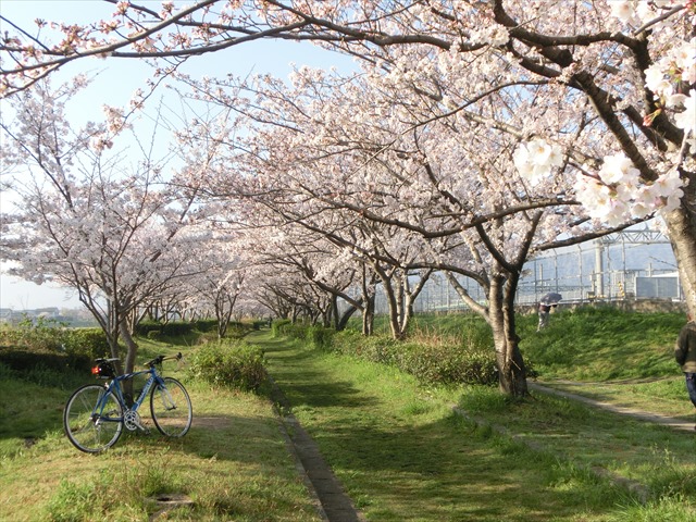 c0238519_2355580.jpg