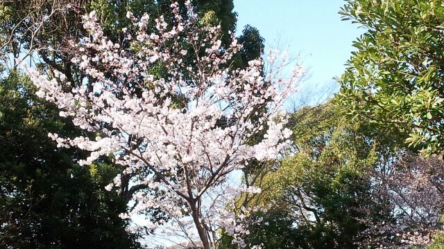 c0060620_13484972.jpg