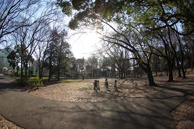 f0174521_1231070.jpg