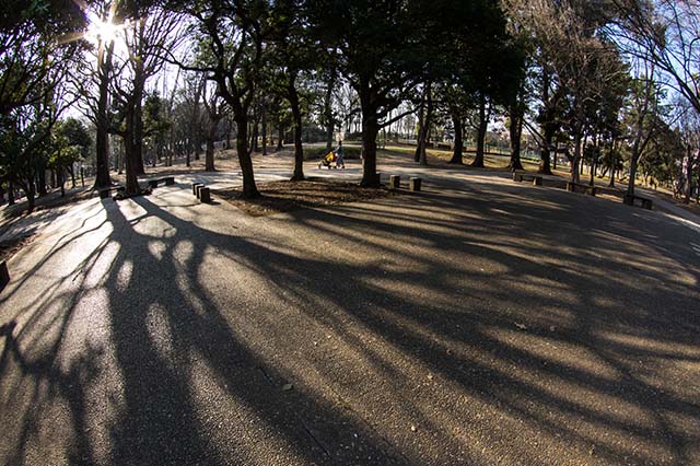 f0174521_1231764.jpg
