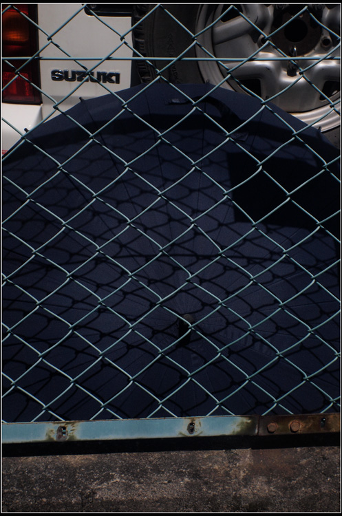 b0226423_231989.jpg