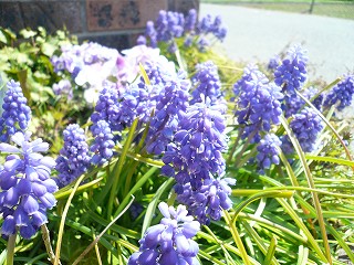 c0148425_11131391.jpg