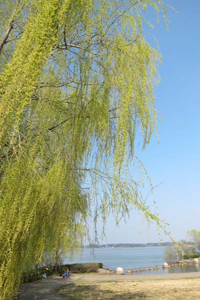 f0147025_2191383.jpg