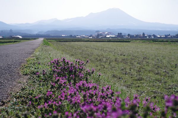 f0007926_113952.jpg