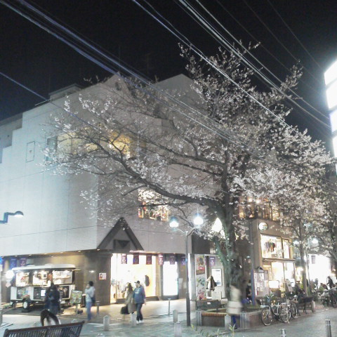 d0014133_1922617.jpg