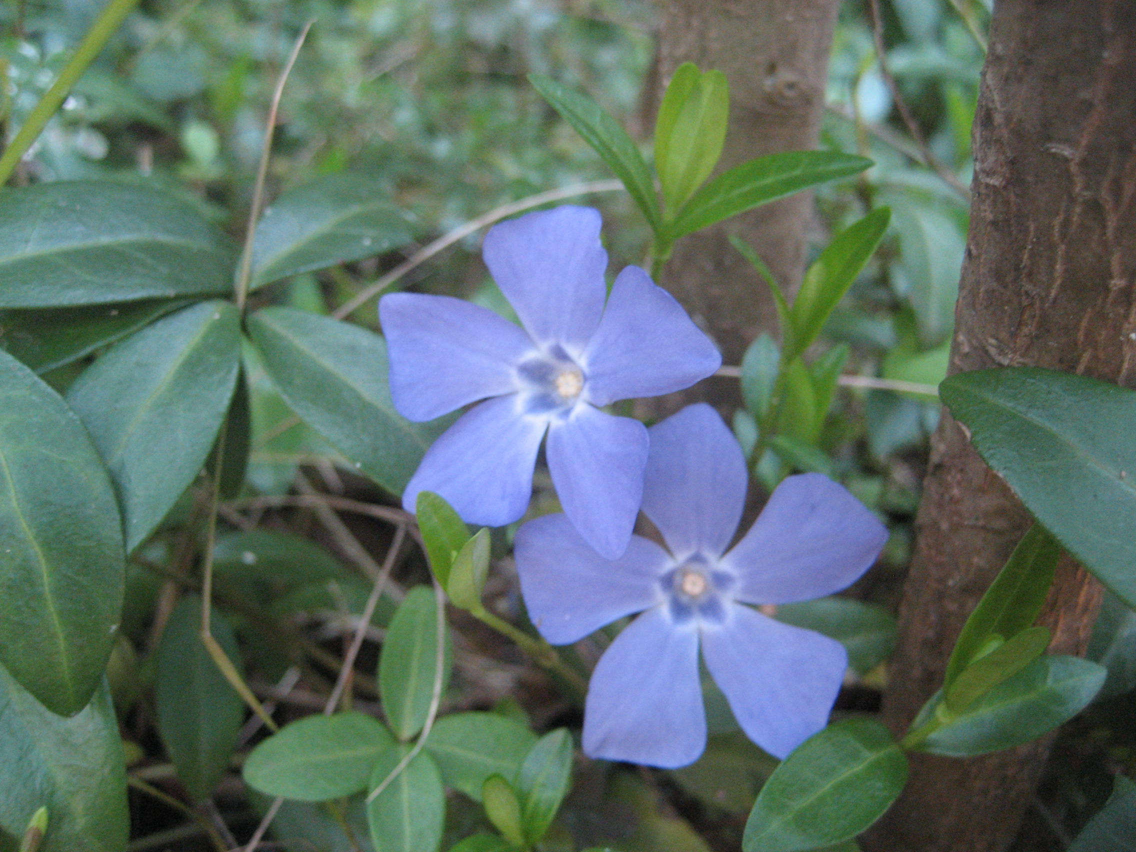 b0166435_12295452.jpg