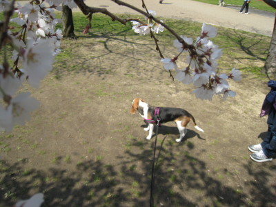 c0191336_2214369.jpg