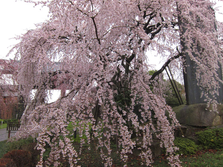 b0042837_2149818.jpg