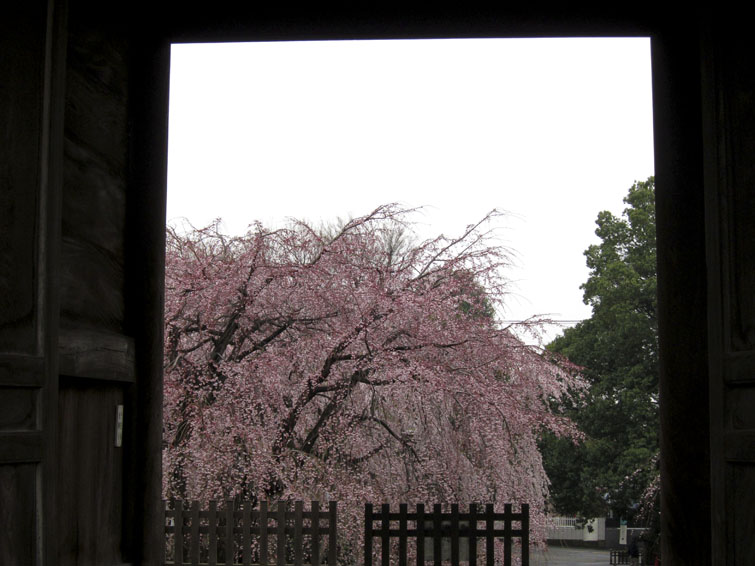 b0042837_21504313.jpg