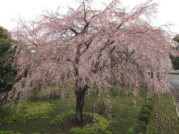 b0042837_2152434.jpg