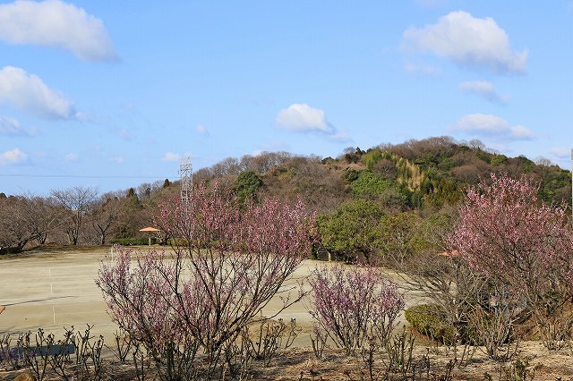a0242438_20101372.jpg
