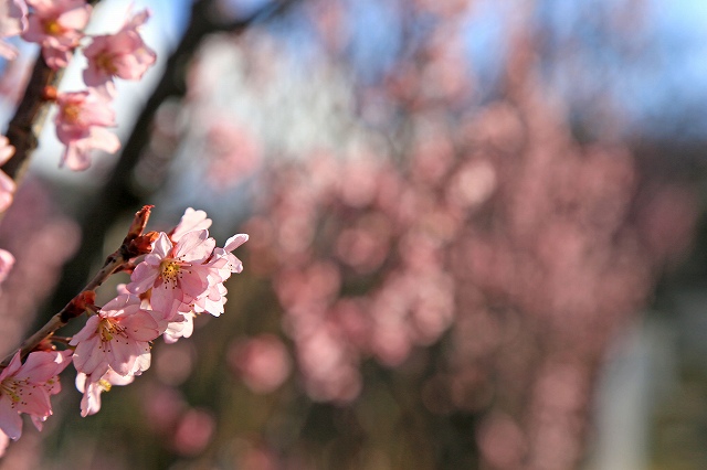 a0242438_20102279.jpg