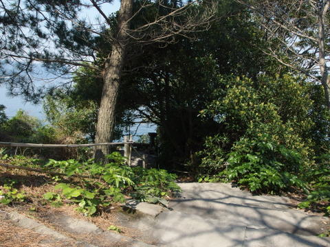 b0199742_01545.jpg