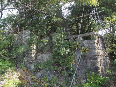 b0199742_064044.jpg
