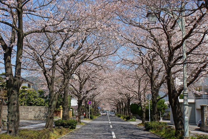 c0243343_2343846.jpg