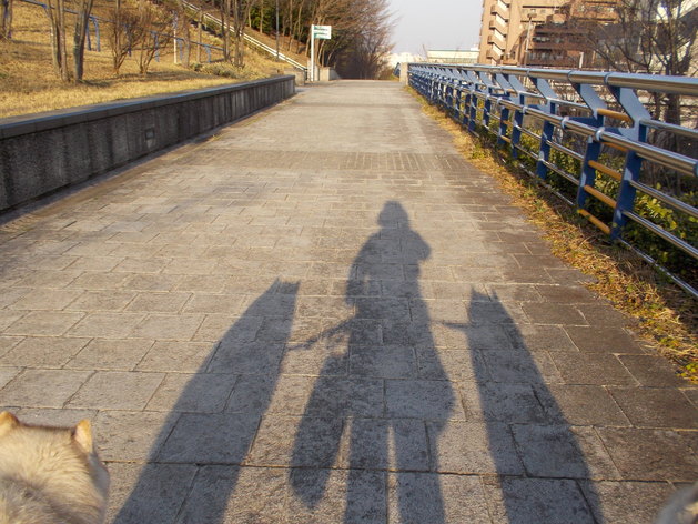 e0121548_233561.jpg