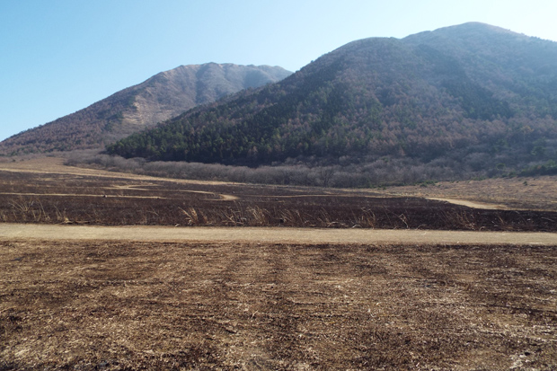 f0214649_1092661.jpg