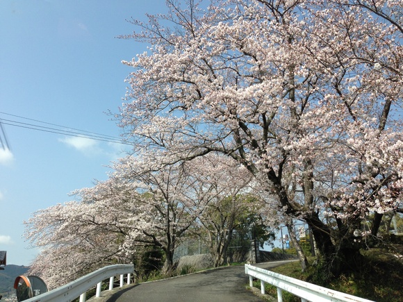b0267163_1248650.jpg