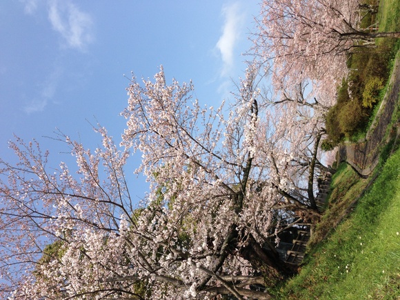 b0267163_1382054.jpg