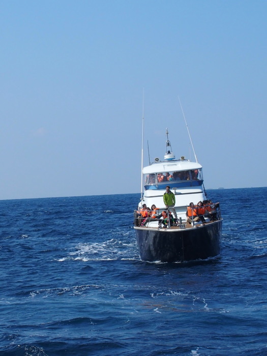 c0122670_02161974.jpg