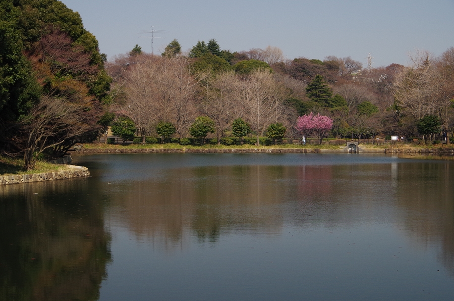 d0031171_8431676.jpg