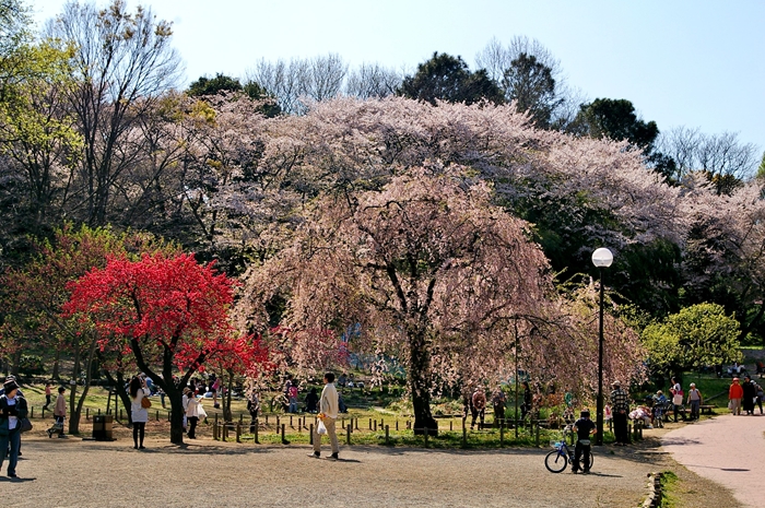 d0031171_8552367.jpg