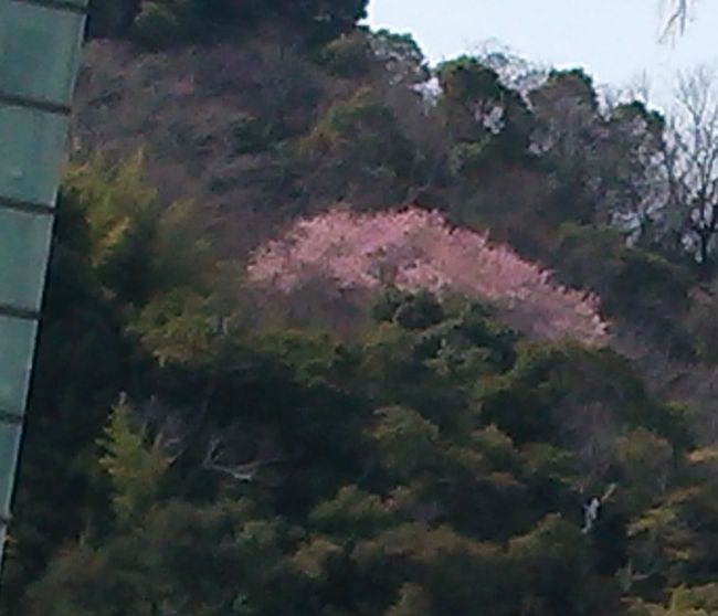 b0014576_21172434.jpg