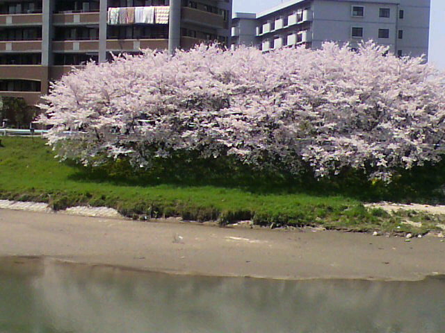 b0095176_1759710.jpg