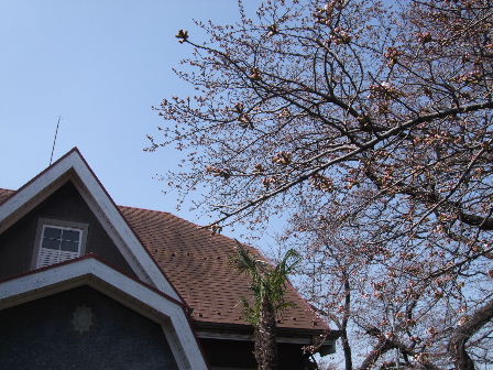 f0039281_23503091.jpg