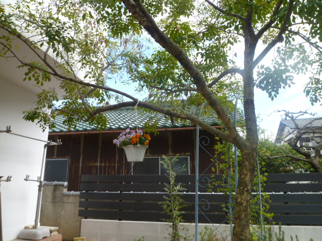 c0236283_15535421.jpg