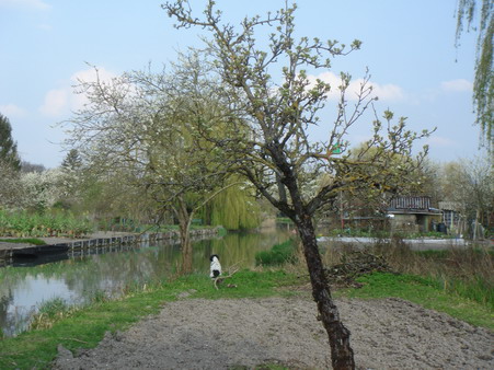 a0247585_10113859.jpg
