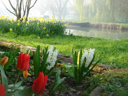 a0247585_1015968.jpg