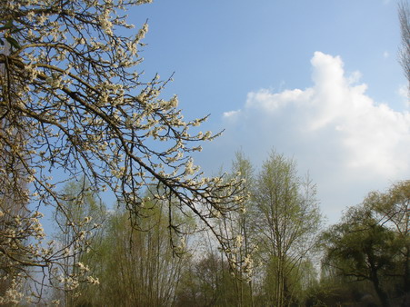 a0247585_1016012.jpg