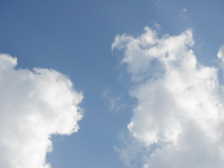 a0247585_10163580.jpg