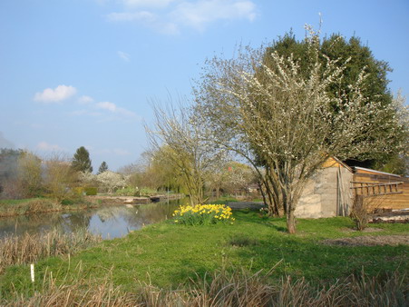 a0247585_10182426.jpg
