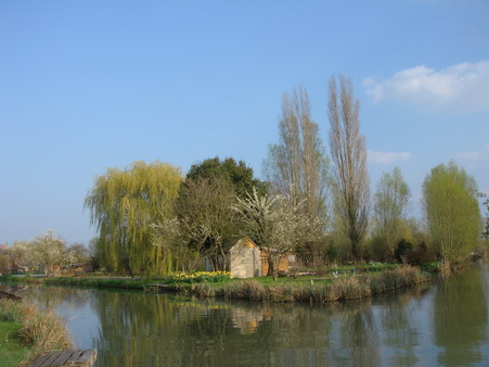 a0247585_10194158.jpg