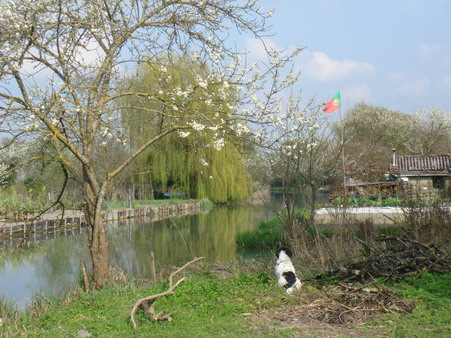 a0247585_1081563.jpg