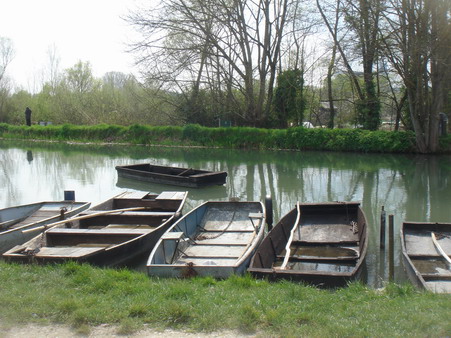 a0247585_948440.jpg